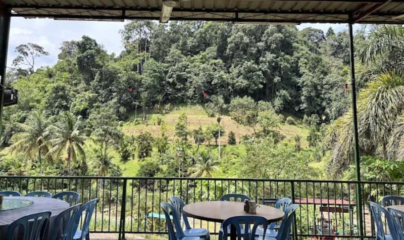 Kolam Air Panas Bentong & Japanese Garden Day Escape - Rainforest Adventure: The Cable Car Ride and Cliffside Temple