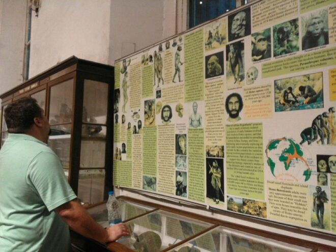 Kolkata: Guided Heritage Walking Tour - Important Information