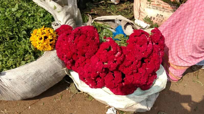 Kolkata: Half-Day Morning Tour w/ Flower Market - The Itinerary in Detail: What You Can Expect