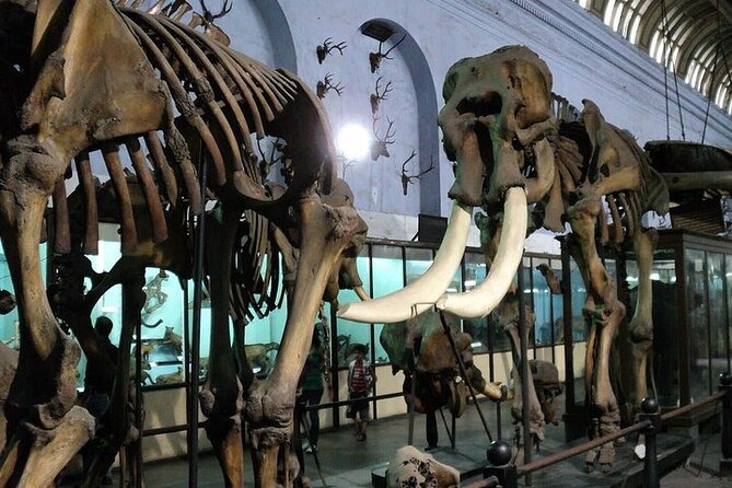 Kolkata Heritage City Tour - Transportation Details
