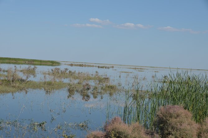 Kolkhoz: Private Visit to the Cotton Farmers Village - Booking Information