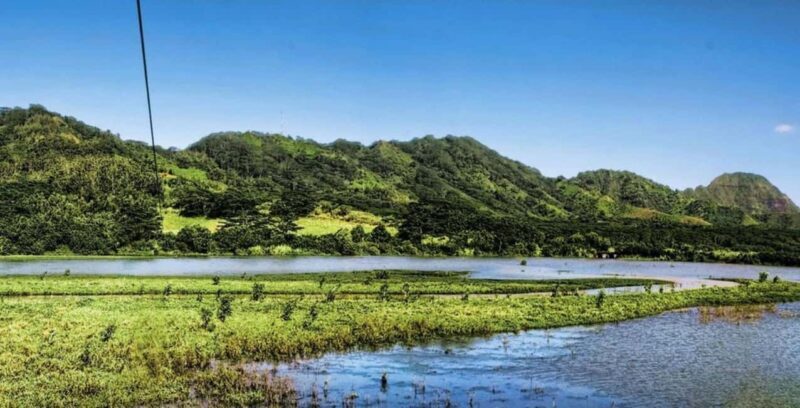 Koloa: Kauais Longest 8-Line Zipline Tour - The Sum Up