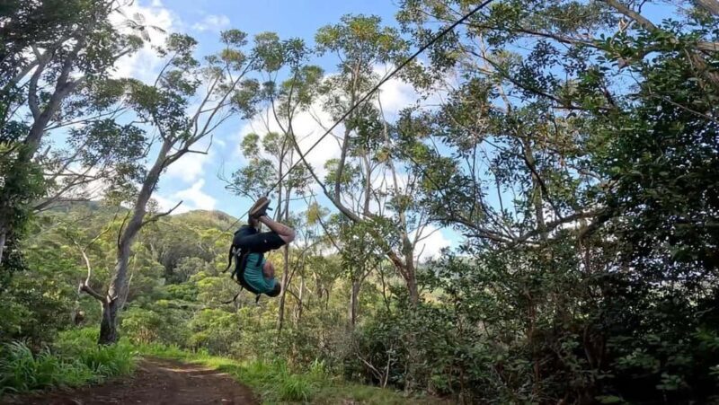 Koloa: Kauais Longest 8-Line Zipline Tour - FAQ