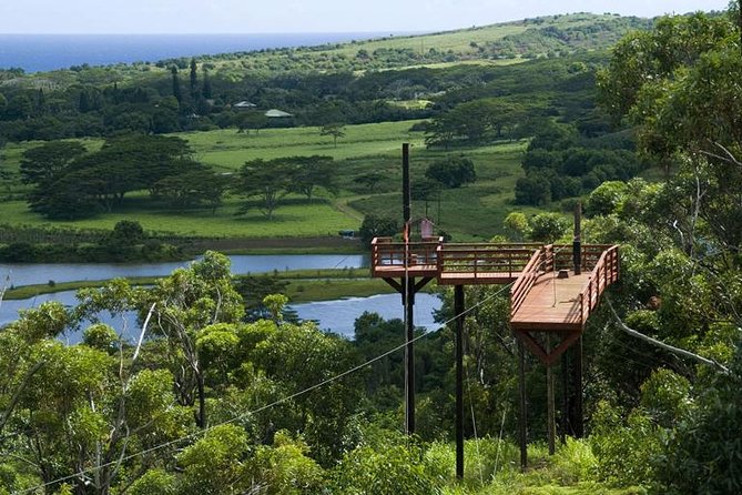 Koloa Zipline in Kauai - Overview and Features of Koloa Zipline