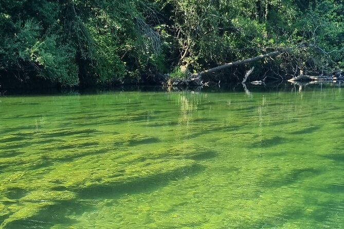 Kolpa River Canoeing - Private&Guided With Welcome Drink - Pricing and Reservations