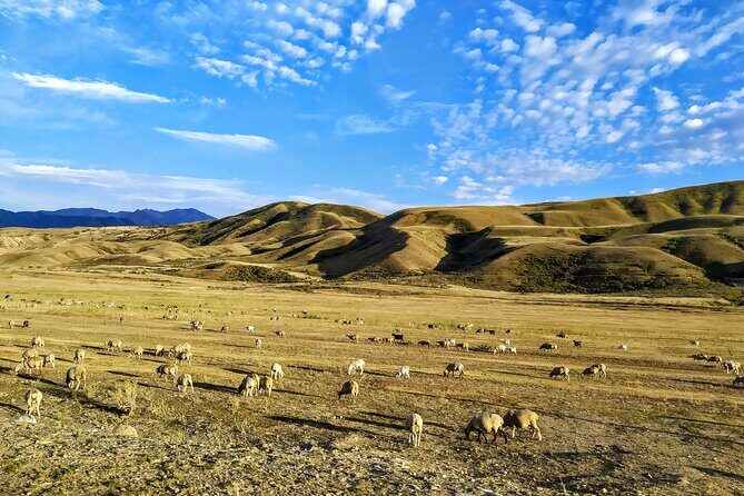 Kolsai / Kaindy Lake / Charyn Canyon one-day tour (choose 2 of the 3 sights) - FAQs