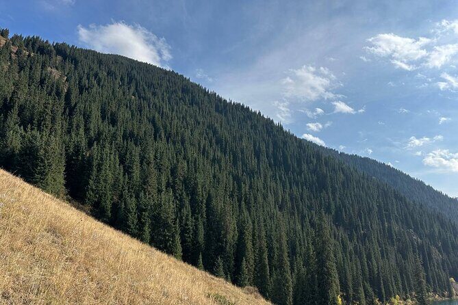 Kolsai Kaindy Lakes and Charyn Canyon Day Tour Lunch Included - Who Is This Tour Best For?