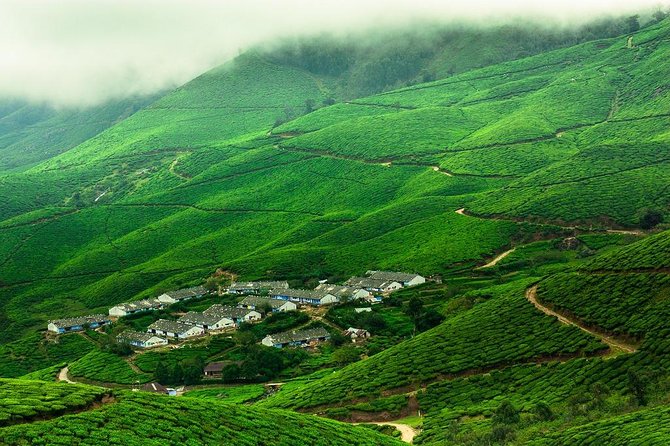 Kolukkumalai Trekking With Night Stay in Tent - Good To Know