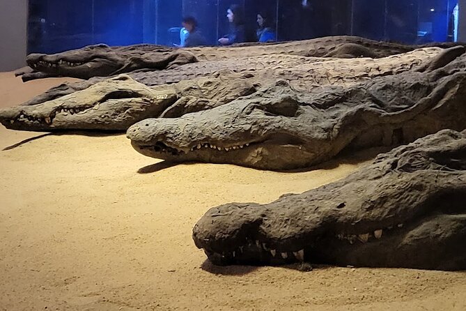 Kom Ombo Temple Private Guided Tour From Luxor - Pricing and Booking