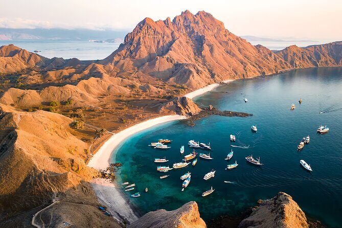 Komodo Adventure in a Day 6 Stunning Spots with Mac Cruise - The Itinerary in Detail