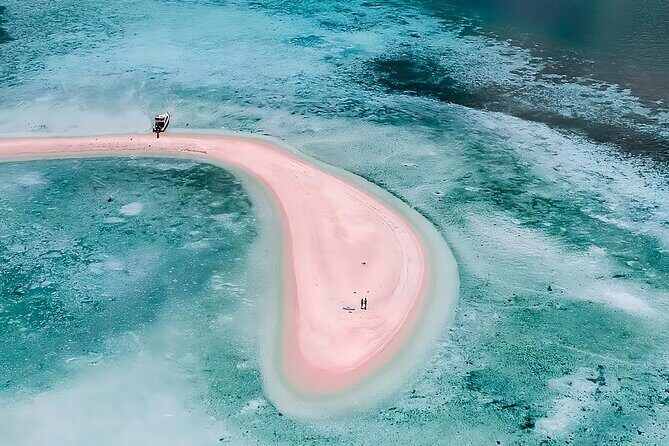 Komodo Adventure in a Day 6 Stunning Spots with Mac Cruise - The Realities of the Experience