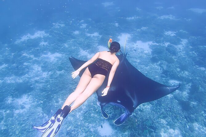 Komodo Adventure in a Day 6 Stunning Spots with Mac Cruise - FAQ