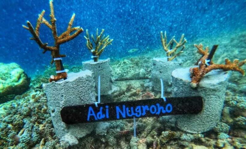 Komodo Conservation Tour with unique experience - Who Will Love This Tour?