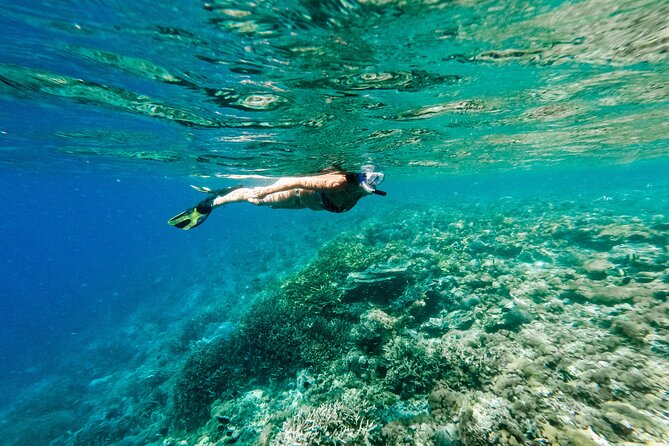 Komodo Day Private Speedboat Tour - Cancellation Policy