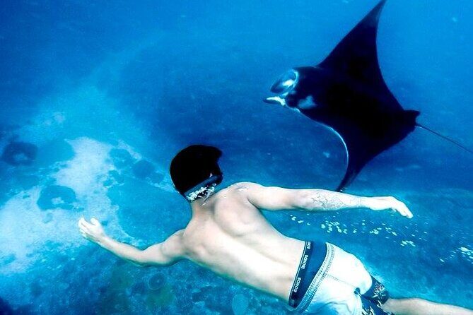 Komodo Island 2 Days 1 Night Tour with Flights from Bali - FAQ