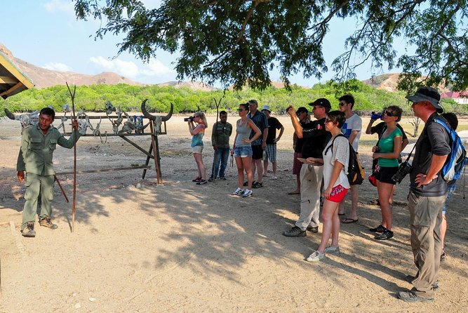 Komodo Island Adventure From Bali (Day Trip) - Itinerary