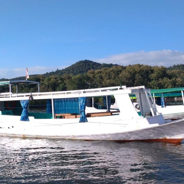 Komodo Island: Dragons & Snorkel Open Deck Sailboat Day Tour - Trekking to Padar Islands Stunning Viewpoint