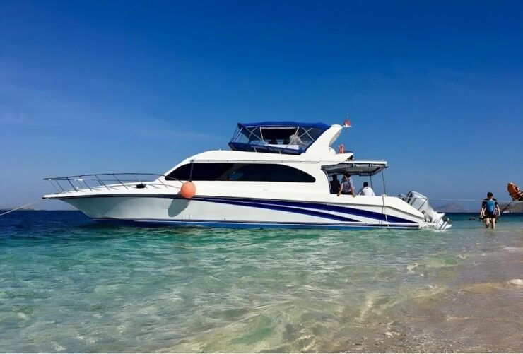 Komodo Island: Komodo Dragons & Islands Day Tour - Booking Details