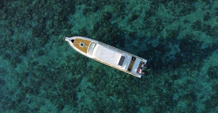 Komodo Island: Private Day Tour by Speedboat - Experience Highlights