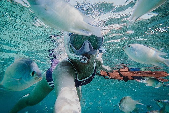 Komodo National Park Small-Group Speedboat Tour With Sunset  - Labuan Bajo - Tour Duration and Pickup Service