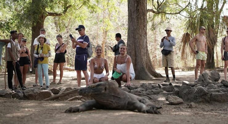 Komodo Private Boat Tour - Itinerary Highlights