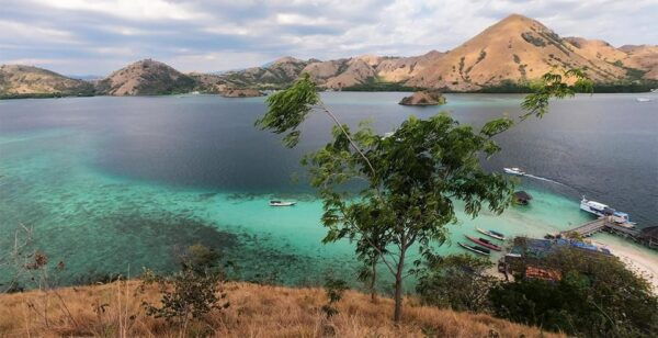 Komodo Private Boat Tour - Booking and Cancellation Policy