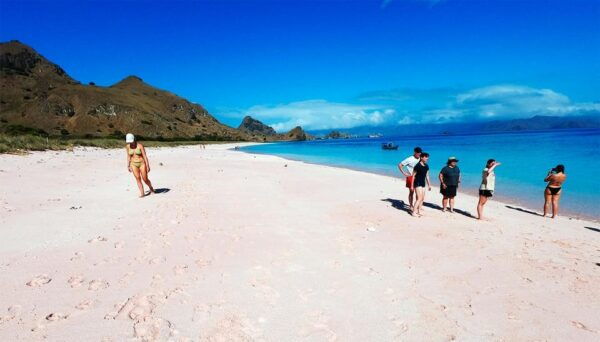 Komodo Private Boat Tour - Questions You May Have