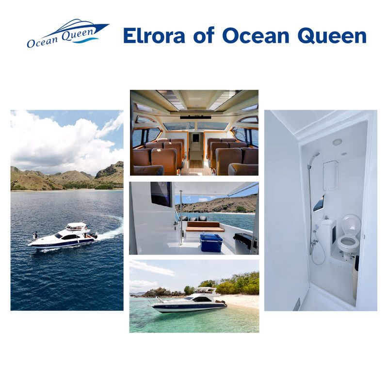 Komodo Speedboat and Island Tour from Labuan Bajo - Manta Point and the current
