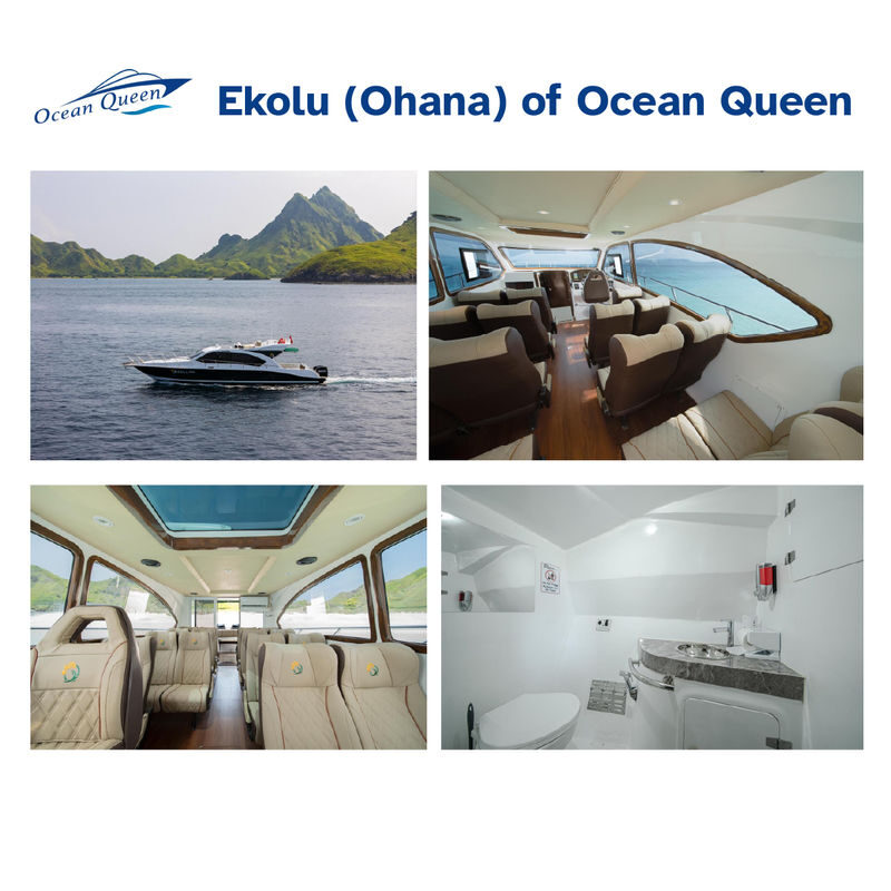 Komodo Speedboat and Island Tour from Labuan Bajo - What the price buys, and what it does not