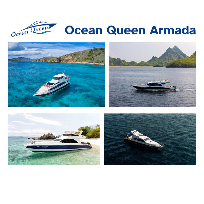 Komodo Speedboat and Island Tour from Labuan Bajo - Should you book this Komodo speedboat tour?