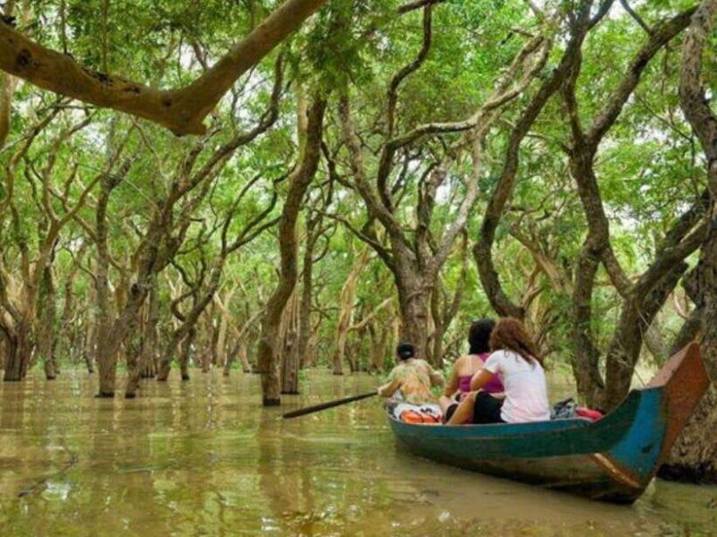 Kompong Phluk Floating village & Mangrove forest Cruise Tour - Good To Know
