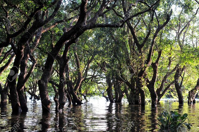Kompong Phluk Village Is a Popular Tourist Destination Located on Tonle Sap Lake. This Half-Day Tour Takes You From Siem Reap to Kompong Phluk Village. - Traveler Photos and Reviews