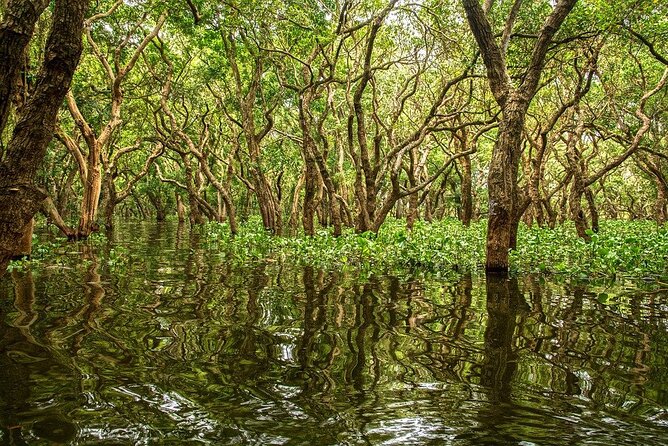 Kompong Phluk With Two Villages Cruise Tour From Siem Riep - Good To Know