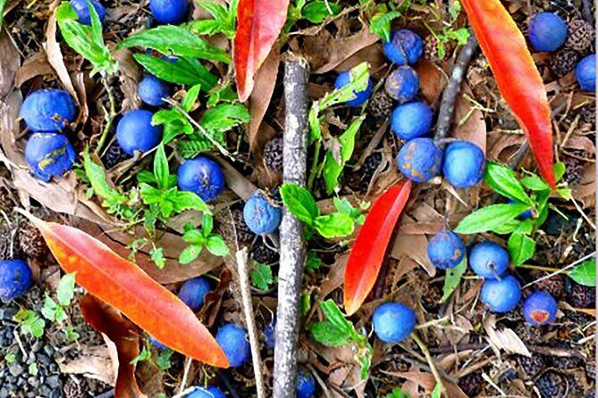 Kona Cloud Forest and Coffee Tour with Sea Turtle Beach Visit - Final Thoughts