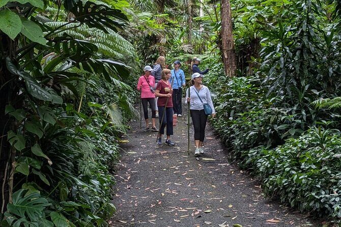 Kona Cloud Forest and Coffee Tour with Sea Turtle Beach Visit - Frequently Asked Questions (FAQs)