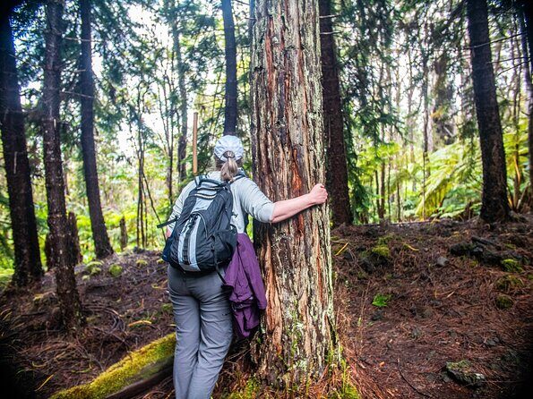 Kona Cloud Forest Sanctuary Pantropical Tour (1.5 hrs) - Good To Know