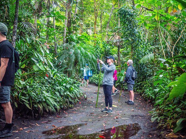 Kona Cloud Forest Sanctuary Pantropical Tour (1.5 hrs) - The Itinerary in Detail