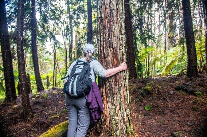 Kona Cloud Forest Sanctuary Pantropical Tour (1.5 hrs) - Practical Details and Tips