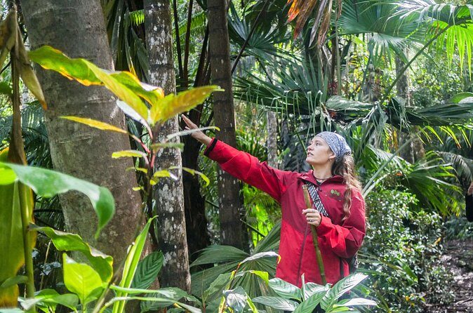 Kona Cloud Forest Sanctuary Pantropical Tour (1.5 hrs) - Who Will Love This Tour?