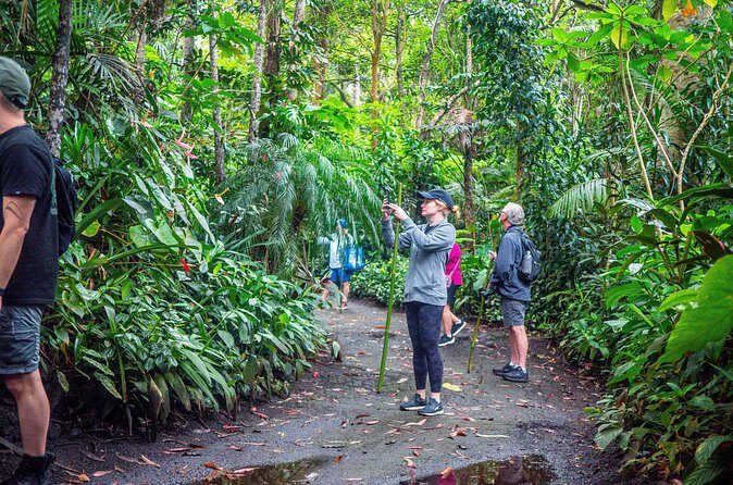 Kona Cloud Forest Sanctuary Pantropical Tour (1.5 hrs) - The Sum Up