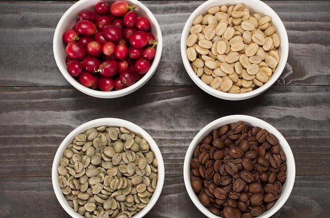 Kona Coffee Roasting Experience - The Sum Up