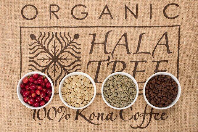 Kona Coffee Tasting: A Farm to Cup Experience - FAQ