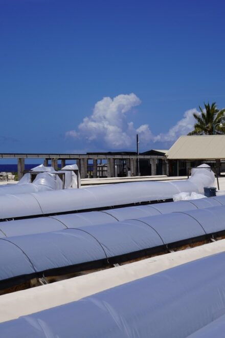 Kona: Hawaiian Salt Farm Tour - Meeting Point