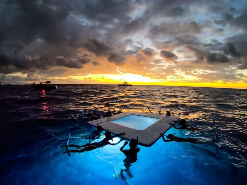 Kona Manta Ray Snorkel Tour with Optional Sunset or Moonlight - What to know before you go