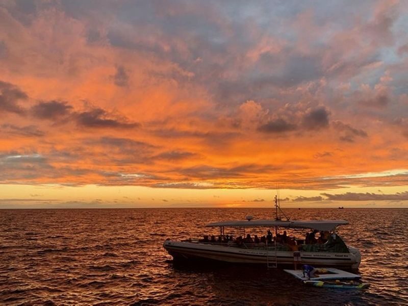 Kona Manta Ray Snorkel Tour with Optional Sunset or Moonlight - Should you book the Kona manta snorkel?