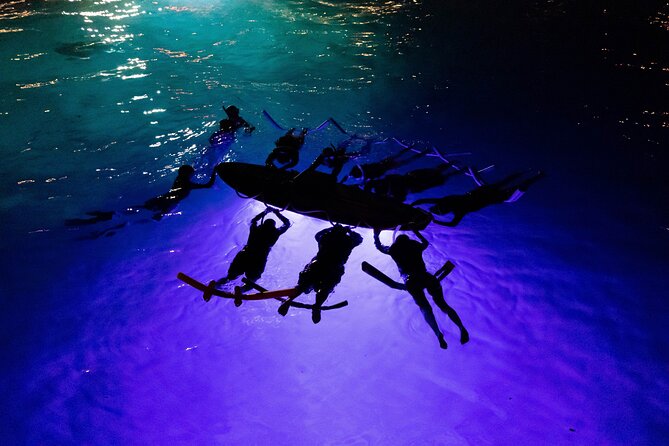 Kona Night Manta Snorkel Tour - Inclusions