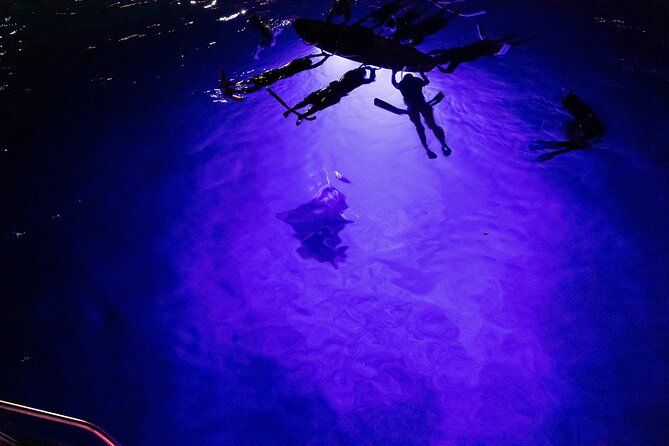 Kona Night Manta Snorkel Tour - Meeting and Pickup