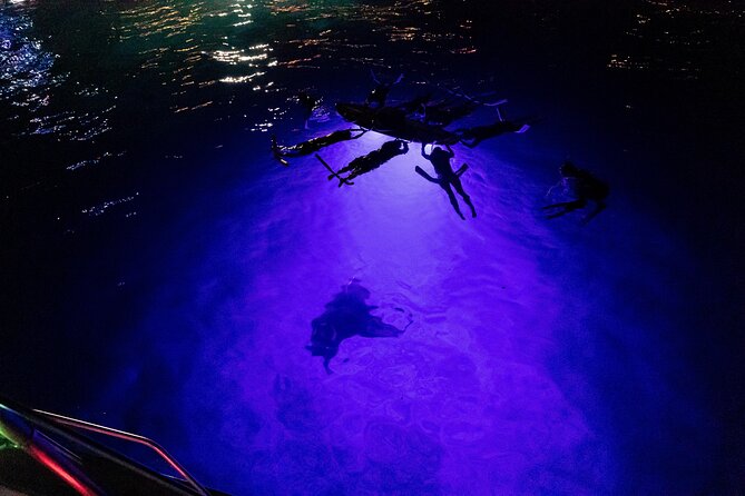 Kona Night Manta Snorkel Tour - Requirements and Recommendations