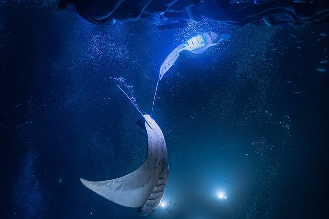 Kona Night Manta Snorkel Tour - Refund and Rescheduling Policy