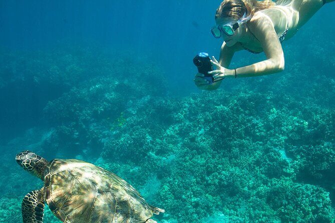 Kona Snorkeling Adventure Open Charter - FAQ